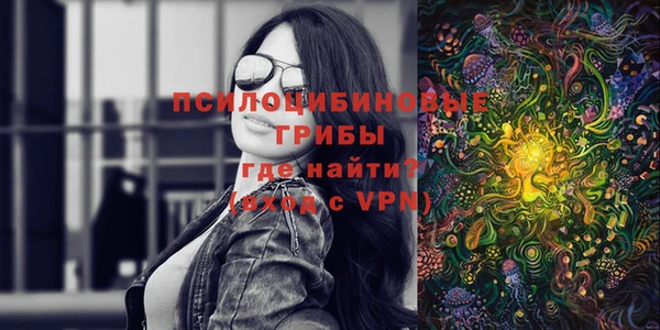 сатива Балахна