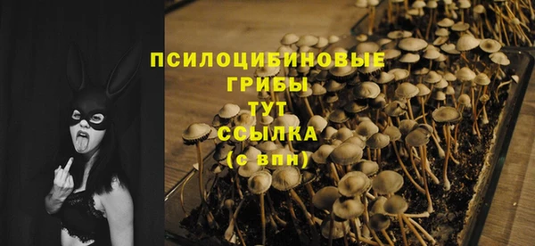 Альфа ПВП Гусь-Хрустальный